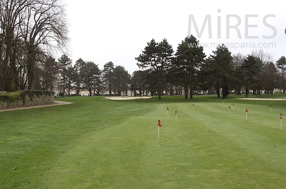 Gazon de golf. C1532