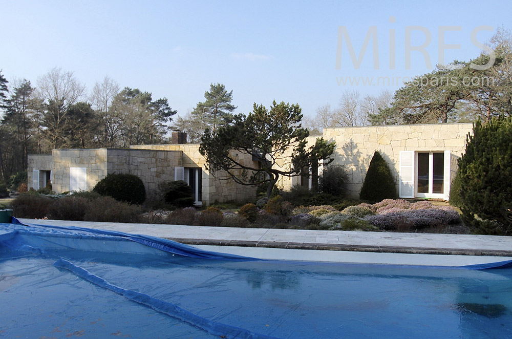 Pool in the pine forest. c1541