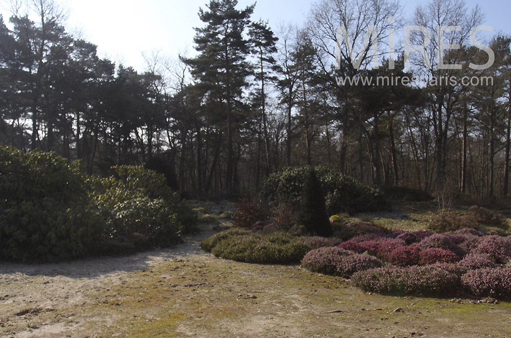 Winter forest. c1541