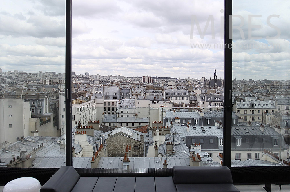 C0102 – The roofs of Paris