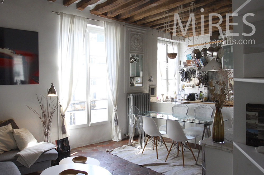 Living space under the roofs. c1554 | Mires Paris