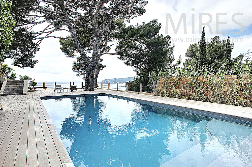 C1575 – Pool lined with teak and umbrella pine