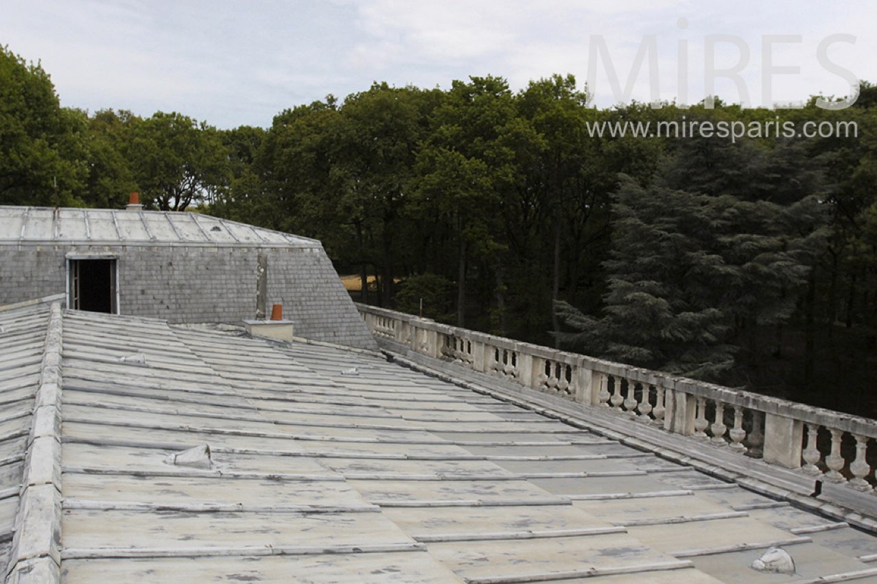 Zinc roofs and stone balustrade. C1461