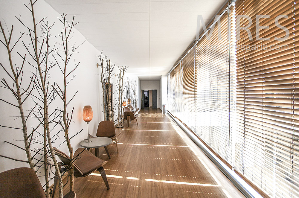 C1577 – Corridors and Venetian blinds