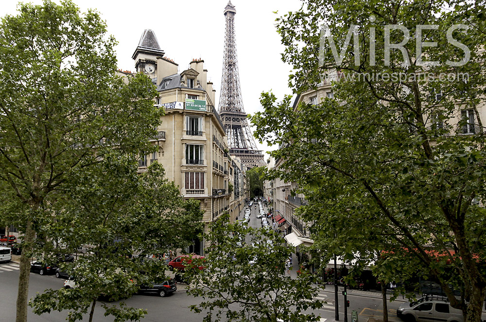 View on the Eiffel Tower. C1578