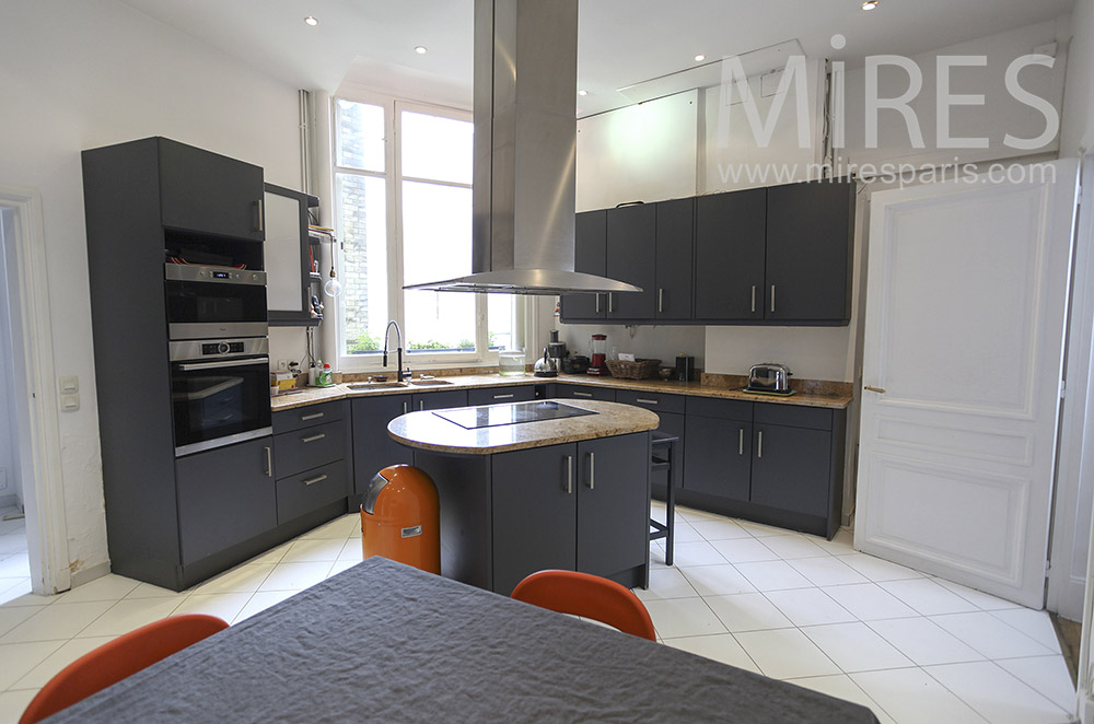 Gray kitchen. C1578