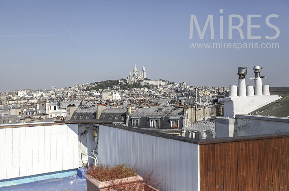 Roofs of Paris and view on Montmartre. c0449