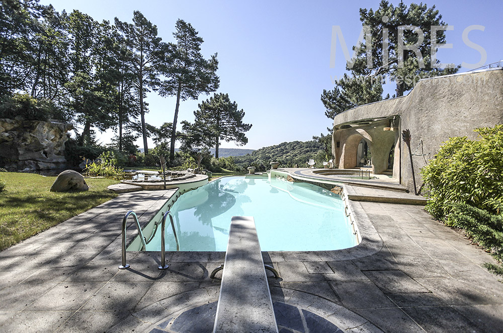 Pool under the pines. c0948