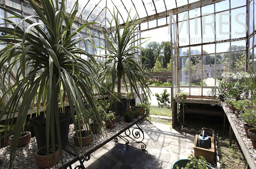 Old greenhouses. C1580