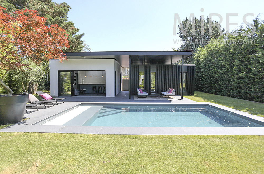Piscine et pool house moderne. C1581