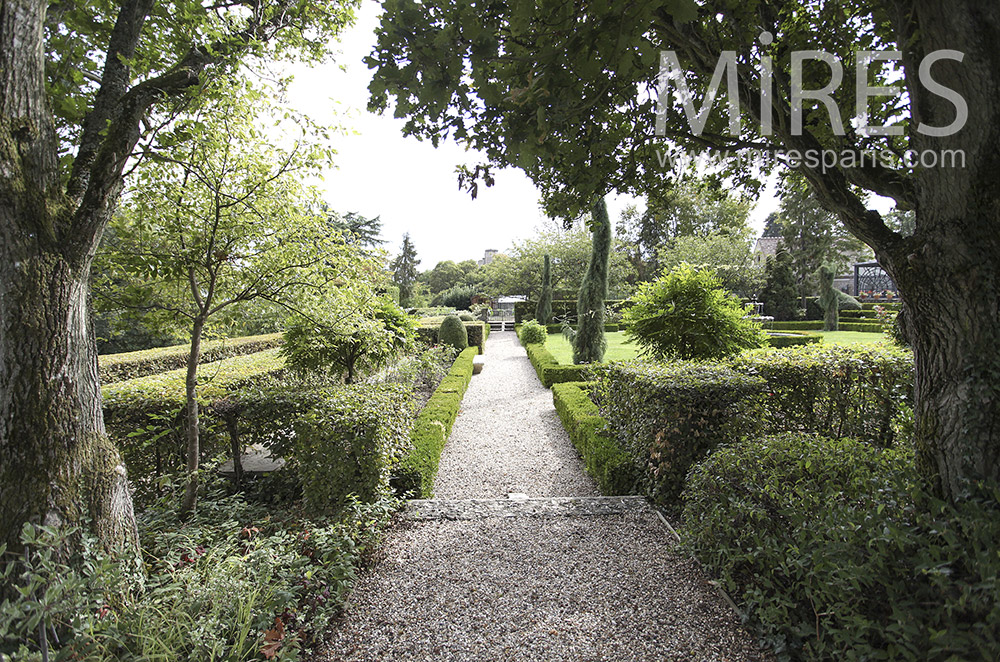 C1593 – Boxwood garden