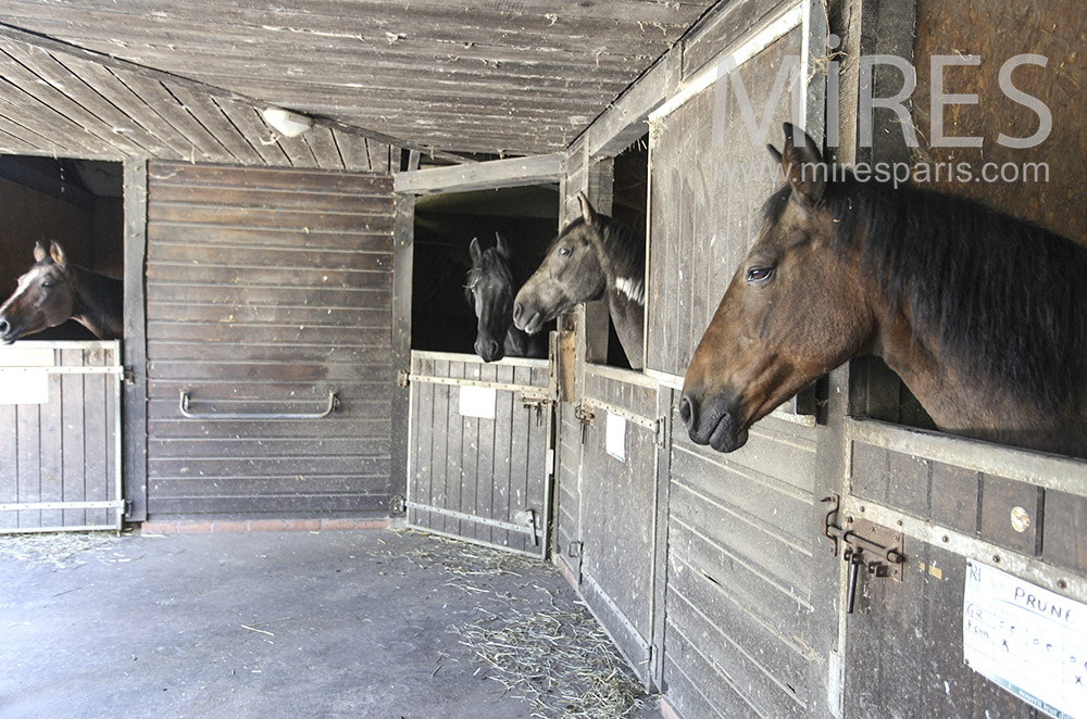 C0630 – Wooden stables