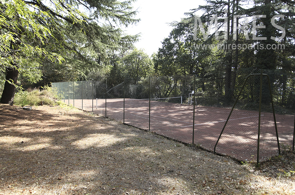 C1597 – Tennis sous les arbres