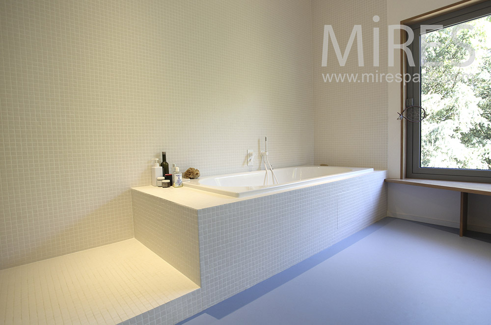 C1598 – Modern baths refined