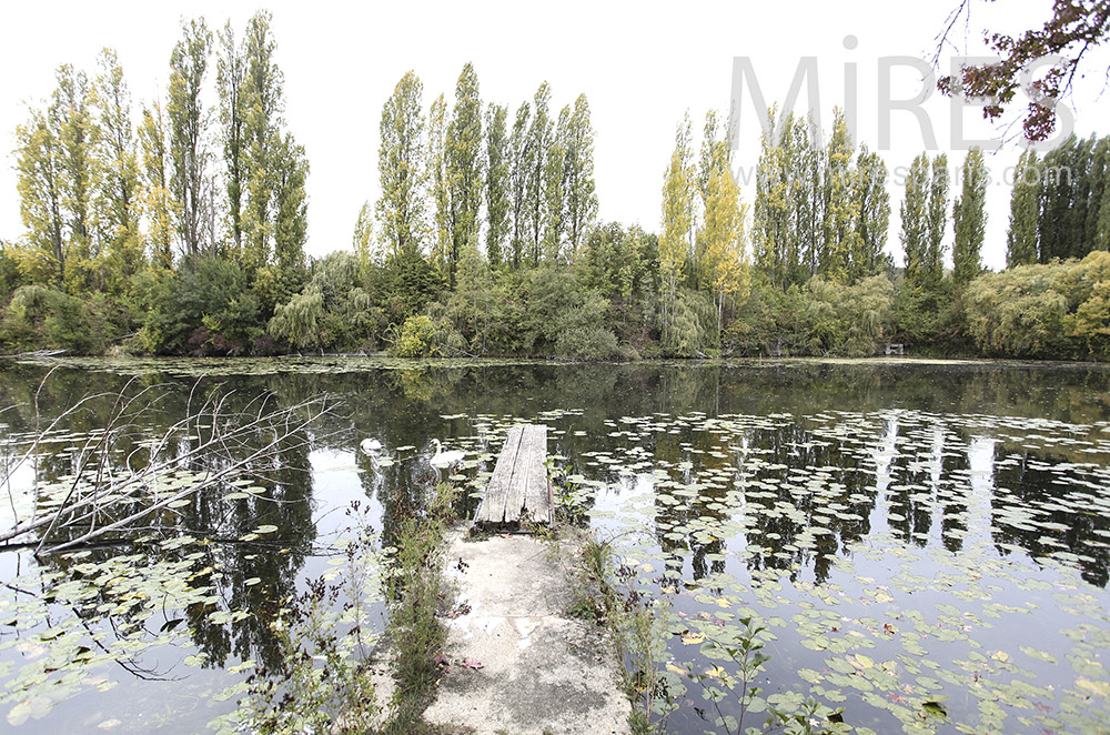 C1600 – Garden at the edge of the pond