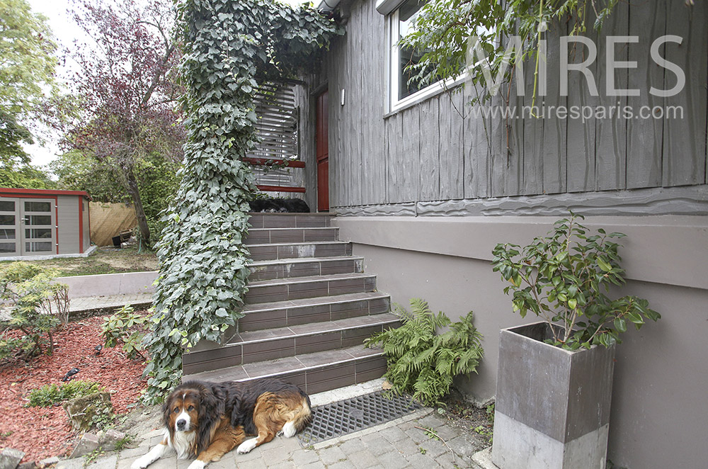 C1600 – Entrance under climbing ivy