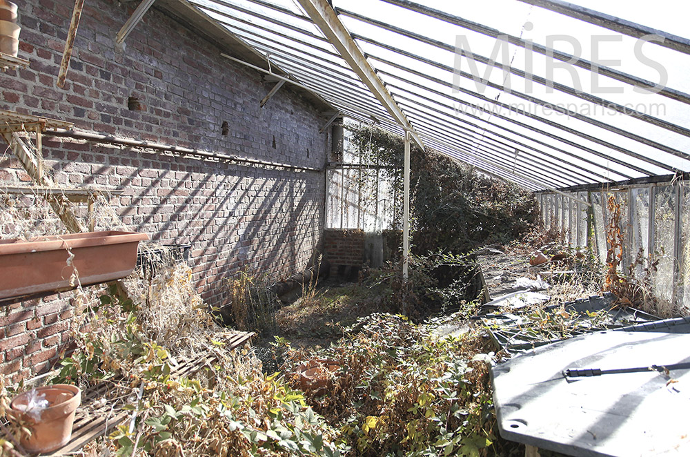 C1603 – Abandoned Greenhouse