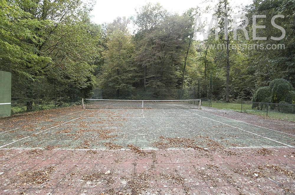 Tennis bordé d’arbres. C1604