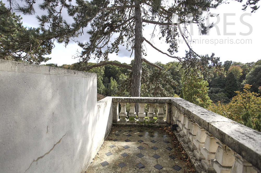 Terrasse dans les arbres. C1604