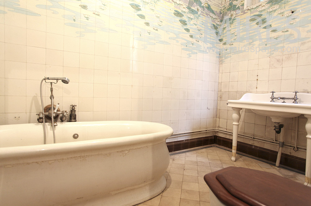 Patinated baths. C1604