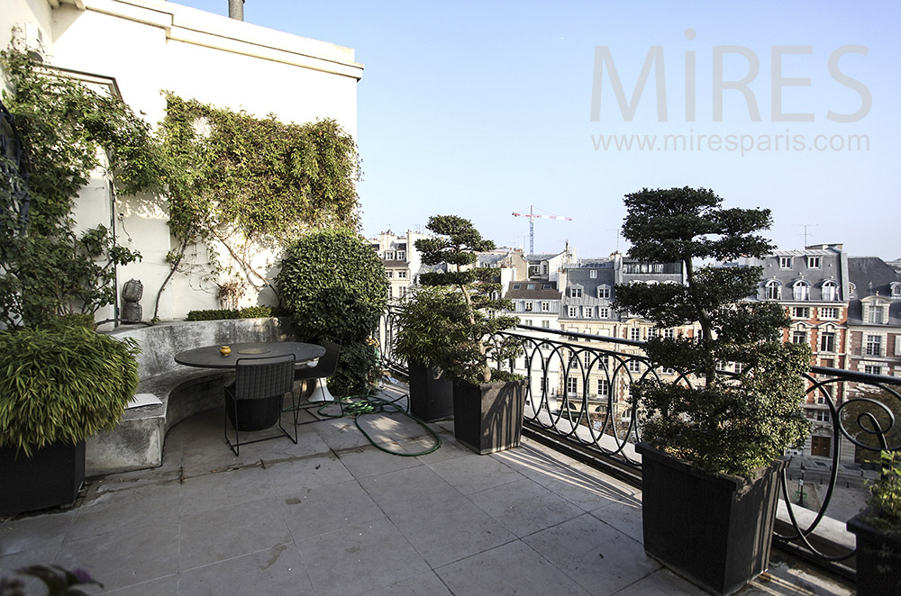 Terrace with plants on old Paris. C1613