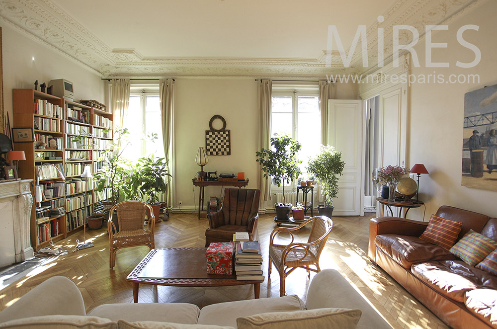 C1622 – Large living room with green plants