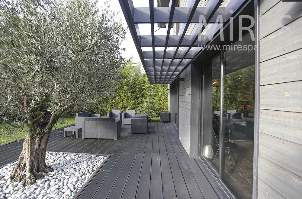 C1014 – Gray terrace with olive tree