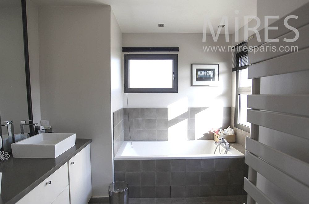 C1014 – Gray modern baths