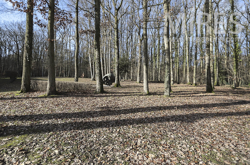 Row of trees on lawn. c1643