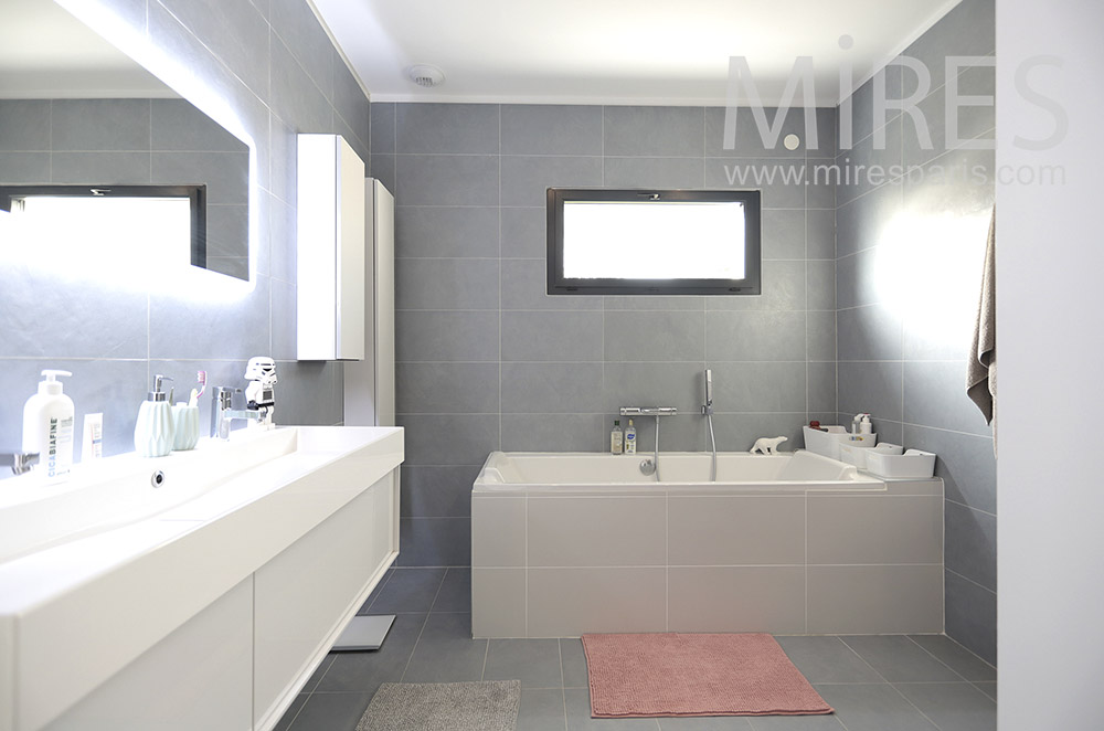 C1660 – Gray bathroom