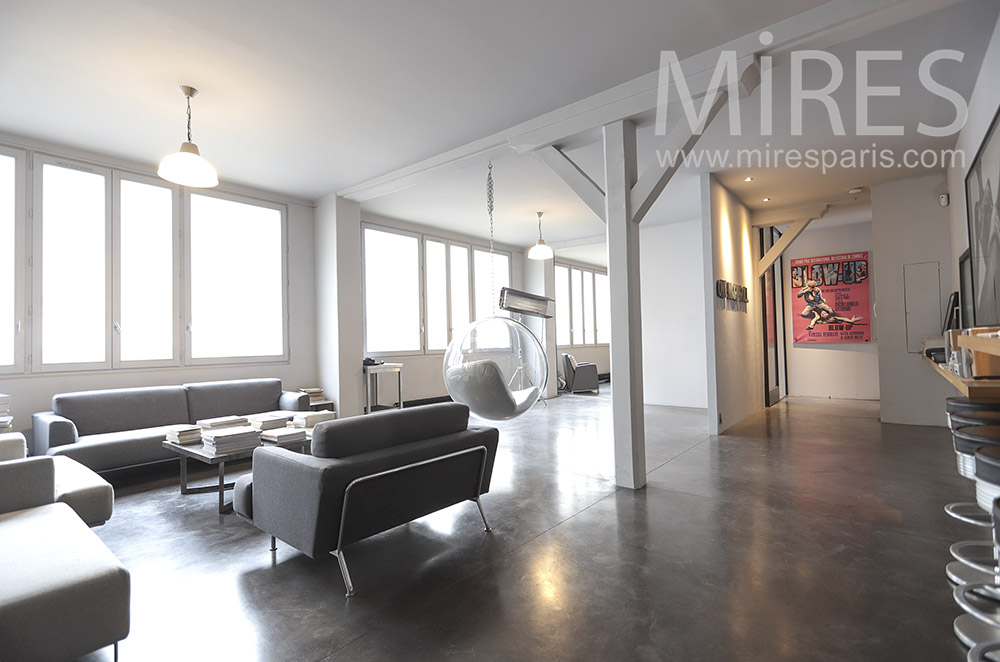 Loft épuré. C1675
