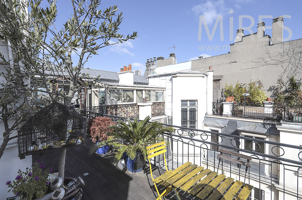 C1684 – Terrace on the roofs of Paris