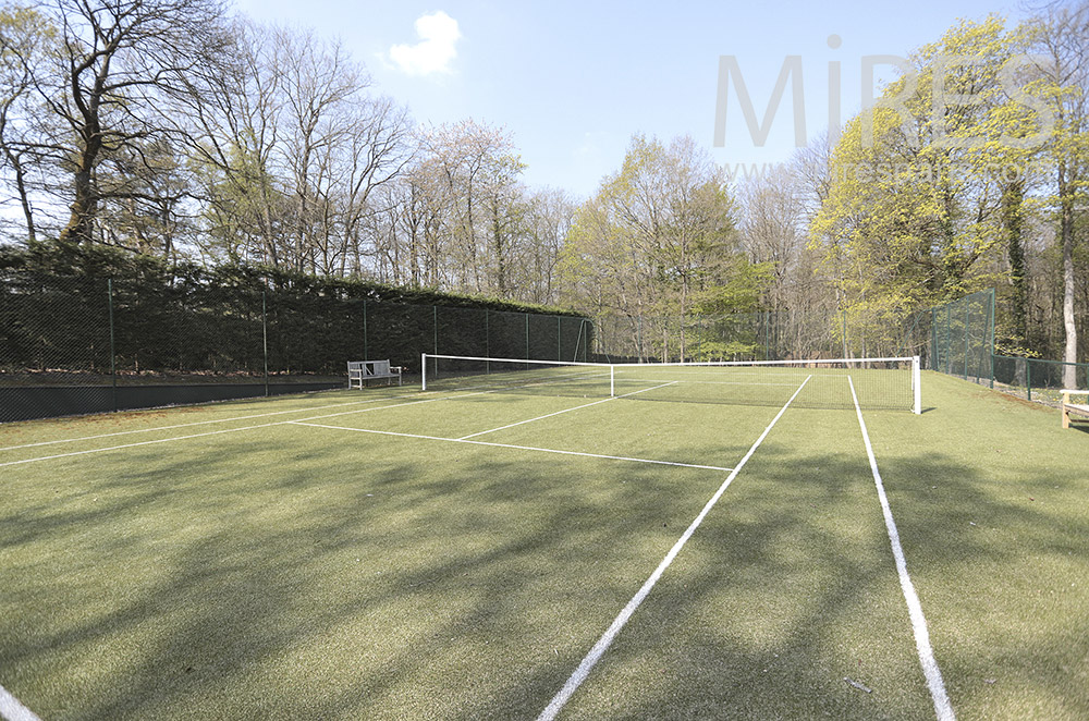 Tennis surrounded by trees. C1693