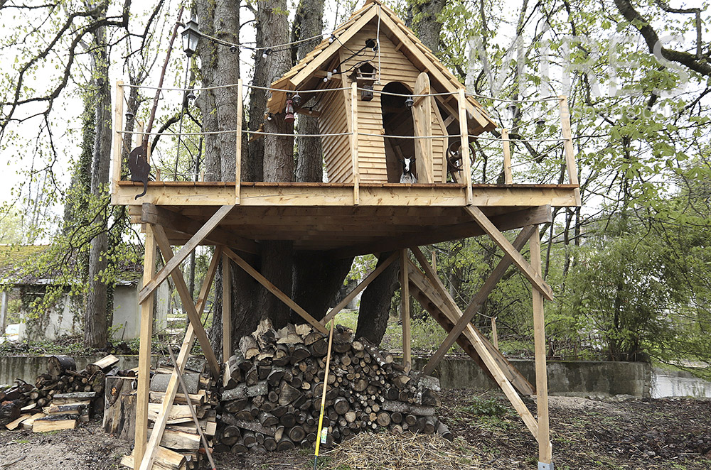 Cabane dans les arbres. C1694