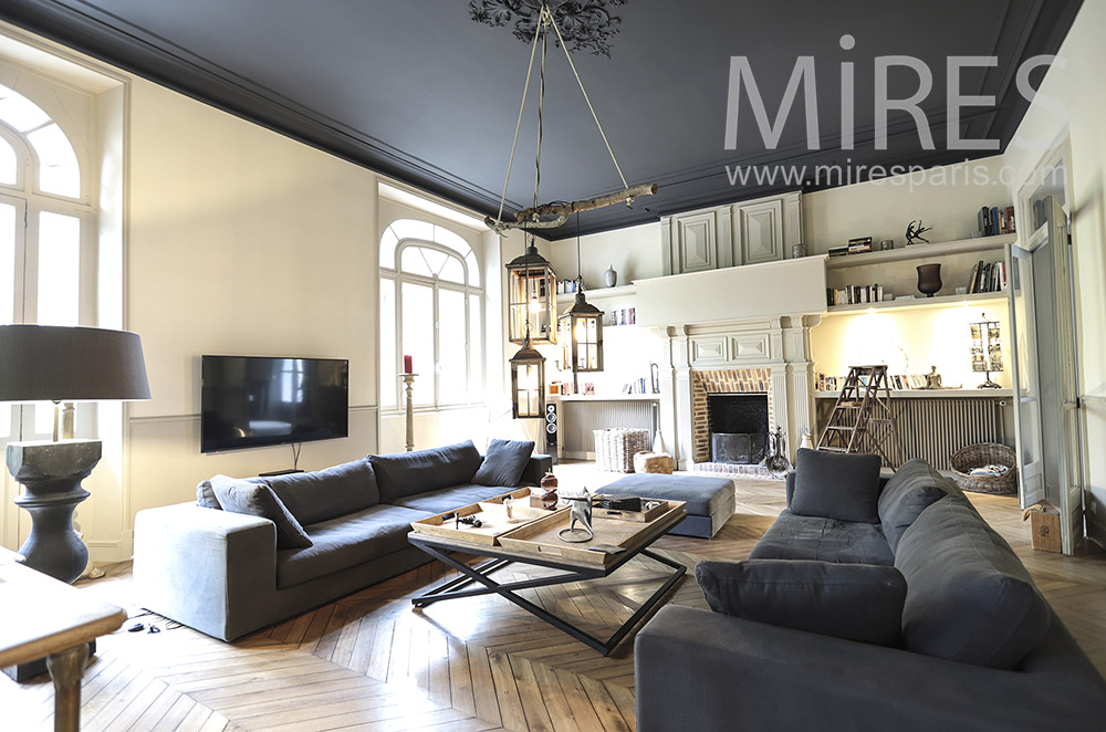 Grand salon  plafond noir  C1694 Mires Paris