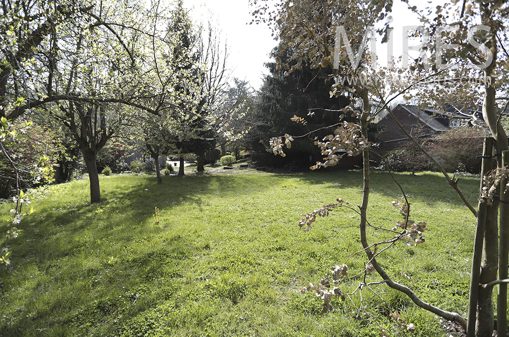 C1696 – Garden trees