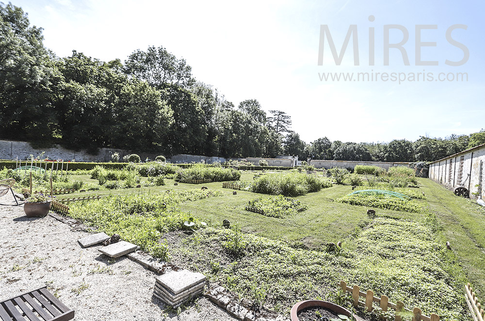 Large vegetable garden. c0081