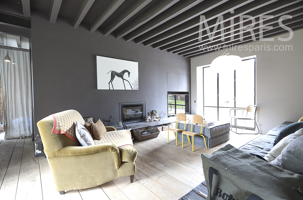 Gray living room. C1410
