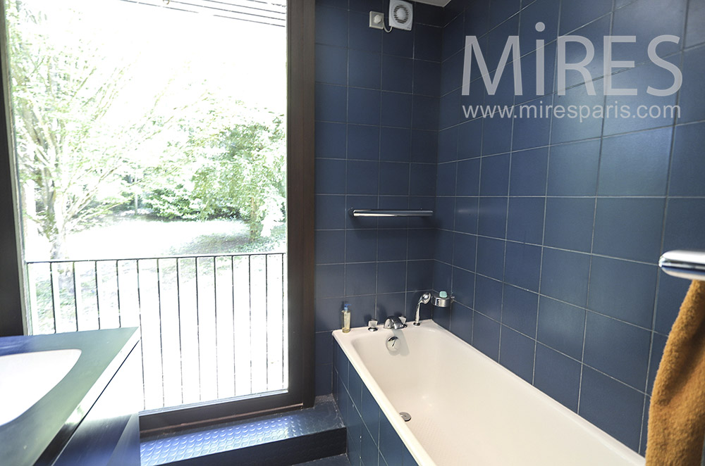 Indigo blue baths. C1709