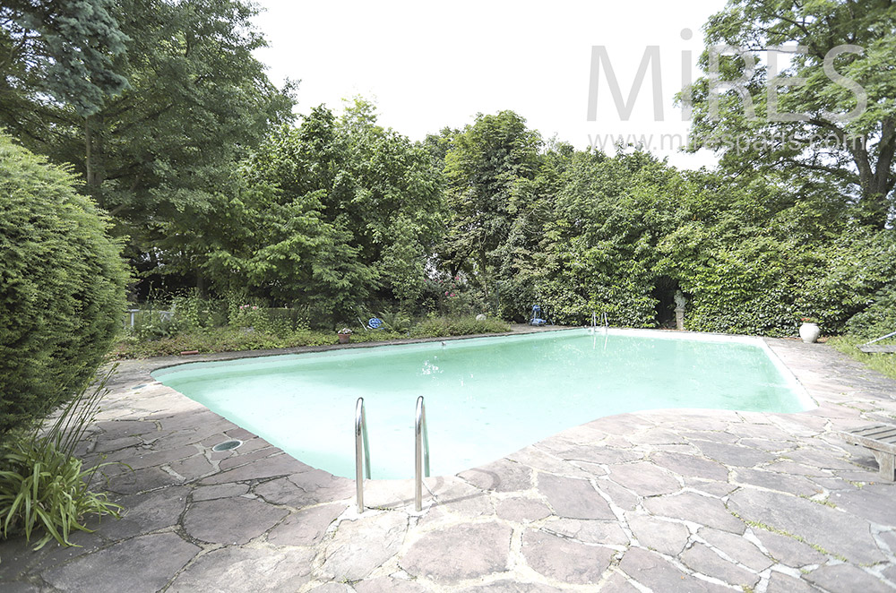 Pool lined with trees. c1712