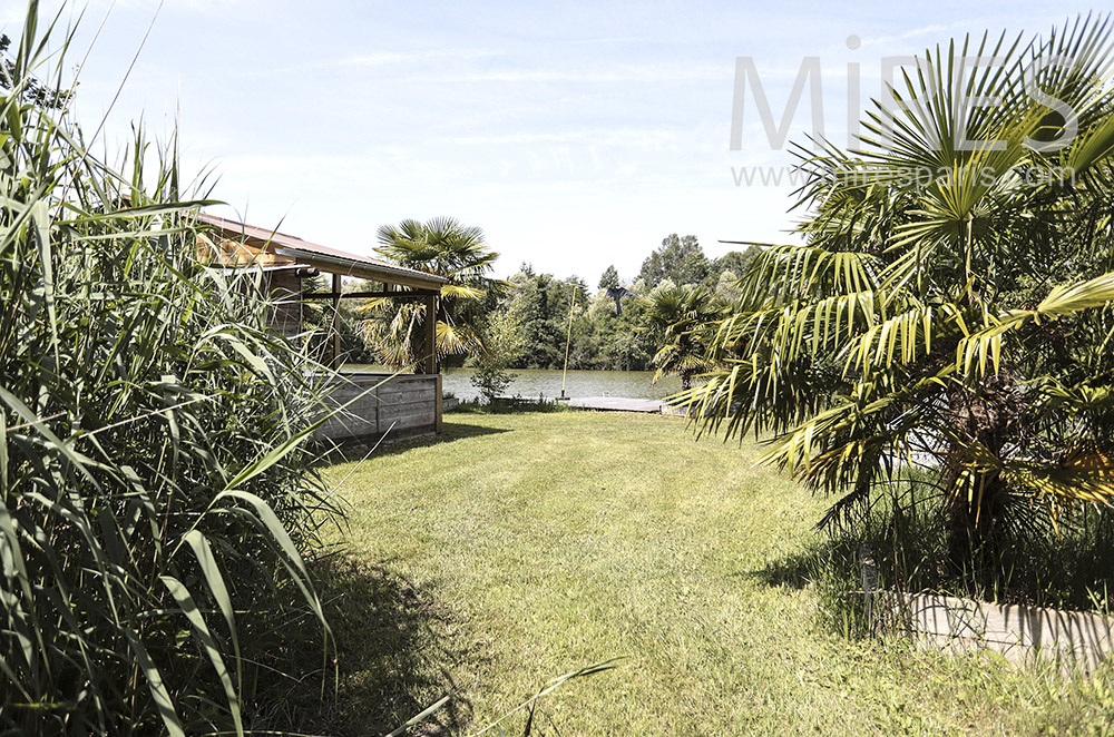 Garden, pond and palm trees. c0296