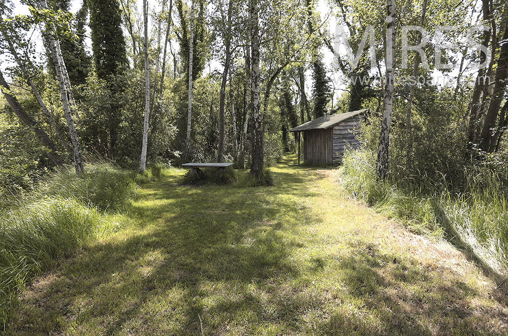 Forest hut. c0296