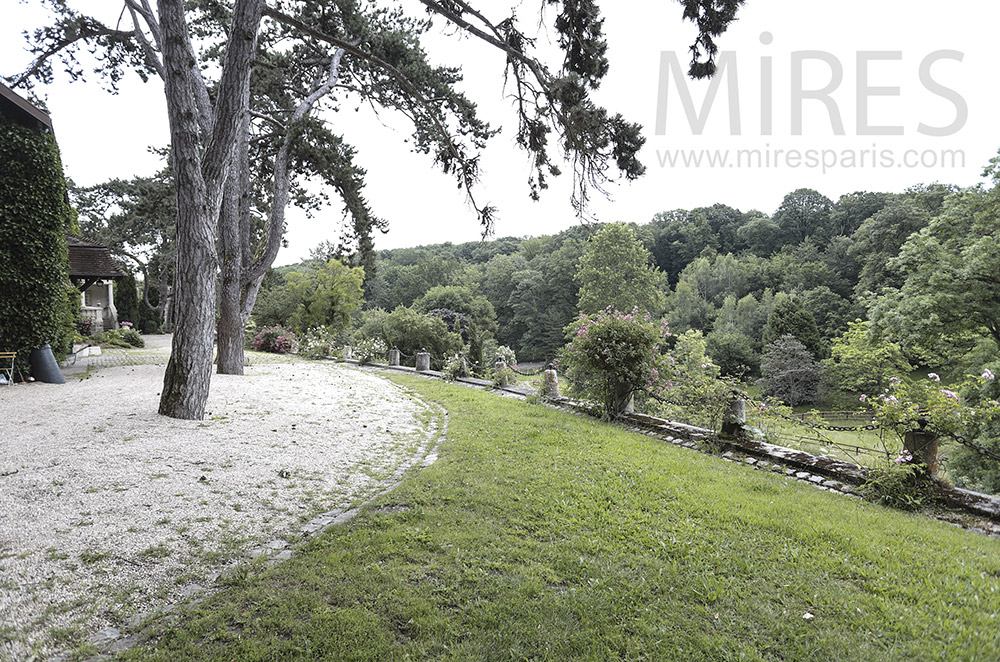 Parc, beaux arbres. C1604