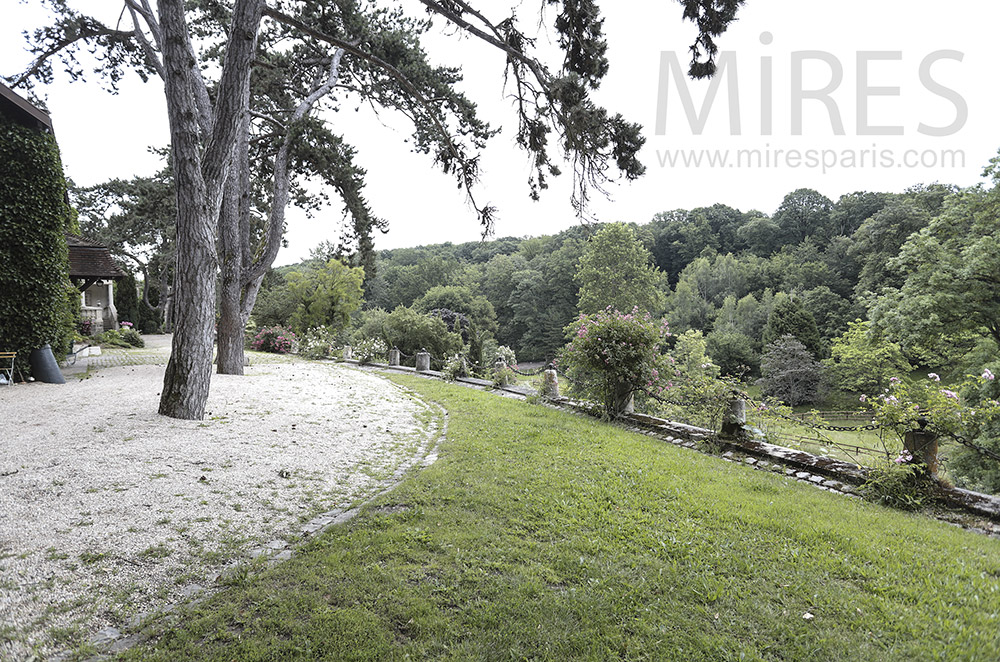 C1604 – Parc, beaux arbres