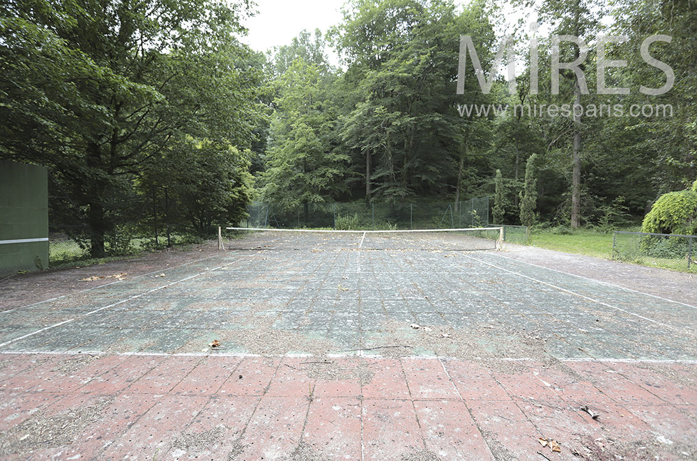 C1604 – Tennis lined with trees