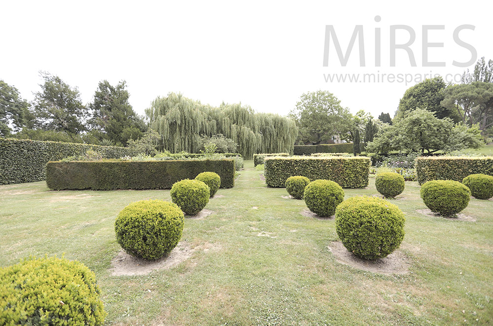 C1729 – Parc et beaux arbres