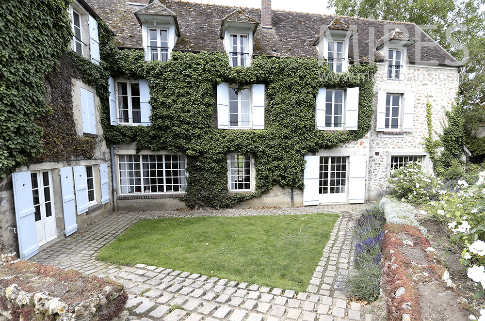 C1729 – Stone facade, climbing ivy