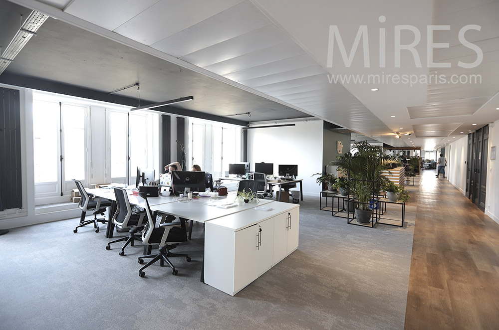 C1730 – Bureaux en open space