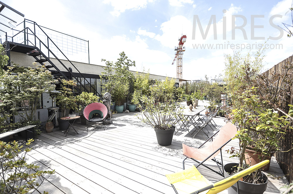 Rooftop with plants. C1731