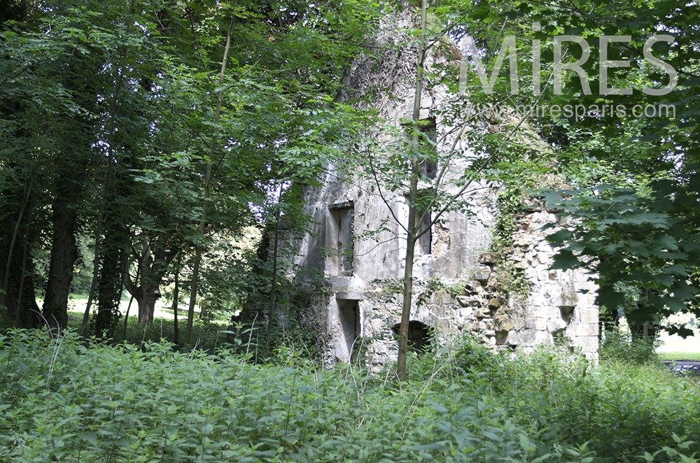 C0071 – Ruine en forêt